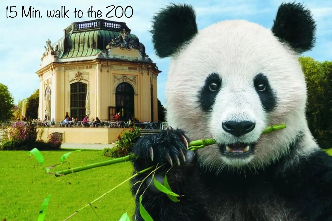 Lovely Nest! Just Beside Schoenbrunn Palace And Zoo! Vienna 0*,  Austria